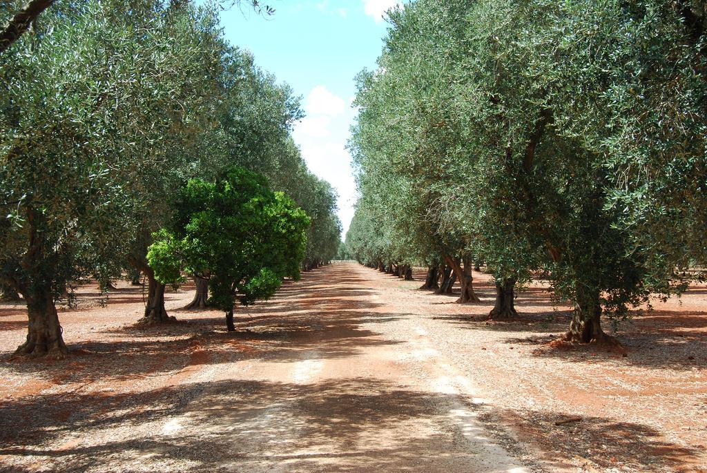 Villa Terra Di Leuca Salve Exterior foto