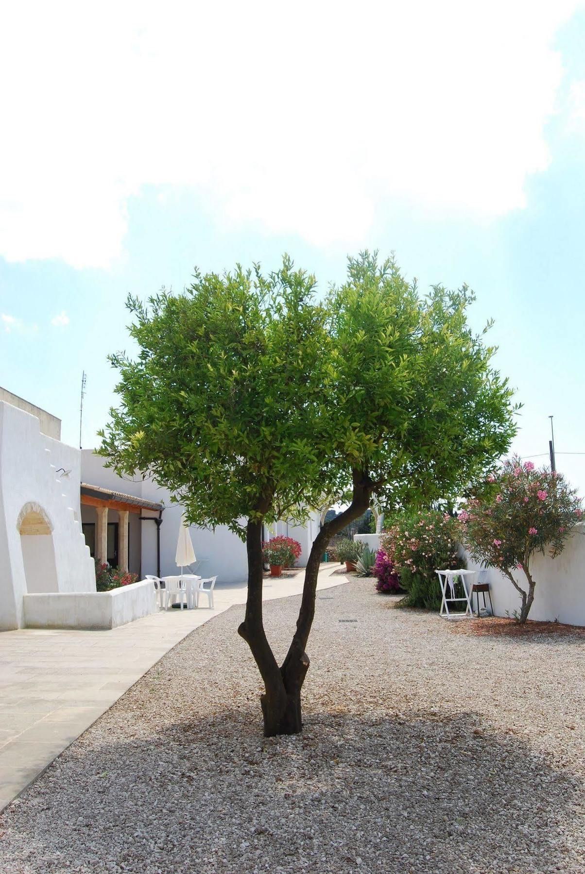 Villa Terra Di Leuca Salve Exterior foto